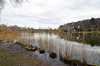 Am Kurparksee in Bad Schwartau 09.03.2023