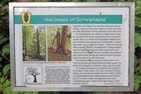 Riesebusch Bad Schwartau 20.08.2021