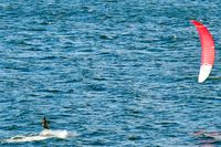Surfer am 09.02.2023 im Oslofjord