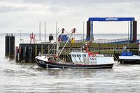 UK166 LIMANDA Fishing Vessel, IMO 8431619, am 16.10.2023 in Cuxhaven