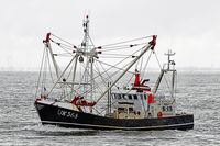 UK368 PETRONELLA, Fishing vessel, am 16.10.2023 in der Nordsee
