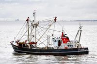 UK368 PETRONELLA, Fishing vessel, am 16.10.2023 bei Cuxhaven