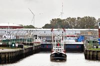 UK368 PETRONELLA, Fishing vessel, am 16.10.2023 in Cuxhaven