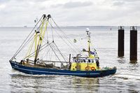 ZK21 ANNA Fishing Vessel, IMO 8432572, am 16.10.2023 bei Cuxhaven