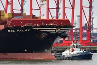 ZP BEAR Tug, IMO 9701982, am 16.10.2023 vor MSC PALAK Container Ship, IMO 9735206, Hafen Hamburg