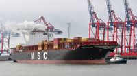ZP BEAR Tug, IMO 9701982, am 16.10.2023 vor MSC PALAK Container Ship, IMO 9735206, Hafen Hamburg