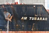 AM TUBARAO Bulk Carrier, IMO 9593488, am 16.10.2023 an der Elbe zwischen Hamburg und Cuxhaven