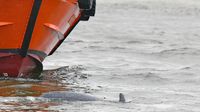 Delfin DELLE bei einem Lotsenversetzboot in Lübeck-Travemünde 04.01.2024