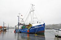 TRA 64 HANSEAT im Fischereihafen von Lübeck-Travemünde. Hochwasser am 04.01.2024