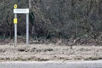Schild ANLANDEN VERBOTEN am 03.02.2024 an der Trave gegenüber Stülper Huk Alt Travemünde