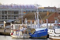 Im Fischereihafen Lübeck-Travemünde 29.02.2024