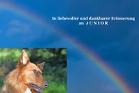 Zur Erinnerung an den Hund JUNIOR, der am 13.03.2024 über die Regenbogenbrücke gegangen ist