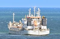 TIGER, Hopper Dredger, IMO 9591416, am 07.05.2024 in der Ostsee vor Rostock