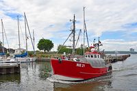 NIE 21 FREEDOM am 19.05.2024 einlaufend Niendorf Ostsee