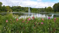 Im Kurpark von Bad Schwartau 03.07.2024