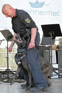 Bundespolizei beim Tag der Küstenwache in Neustadt 20.07.2024