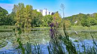 Im Kurpark bzw. beim Kurparksee Bad Schwartau am 06.08.2024