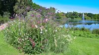 Im Kurpark bzw. beim Kurparksee Bad Schwartau am 06.08.2024