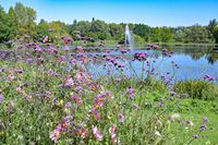 Im Kurpark bzw. beim Kurparksee Bad Schwartau am 06.08.2024