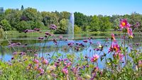 Im Kurpark bzw. beim Kurparksee Bad Schwartau am 06.08.2024