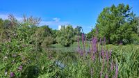 Im Kurpark bzw. beim Kurparksee Bad Schwartau am 06.08.2024