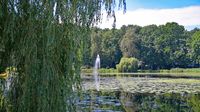 Im Kurpark bzw. beim Kurparksee Bad Schwartau am 06.08.2024