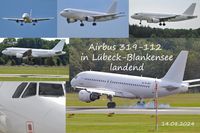 Airbus A319-112 (9A-BER) Flug SR2531 am 14.08.2024 in Lübeck-Blankensee landend