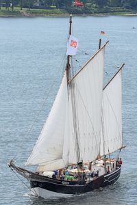 AMAZONE am 23.06.2019 in der Kieler Förde