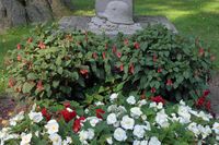 Auf dem Ehrenfriedhof Lübeck am 04.09.2024