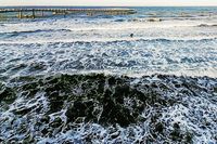 Ostsee beim Timmendorfer Strand 05.09.2024 (Handy-Foto)