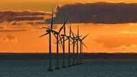 Windräder in der Ostsee unweit der Storebeltbrücke 02.10.2024