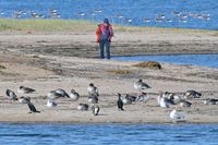 Bei Stülper Huk / Alt-Travemünde 23.10.2024