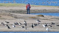 Bei Stülper Huk bzw. Alt Travemünde 23.10.2024