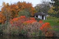 Herbstliche Farben an der Wakenitz bei Lübeck. 03.11.2024