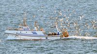 Fischereiboot beim Einlaufen in Cadiz. 10.12.2024