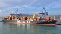 MSC THAIS im Hafen von Malaga 17.12.2024