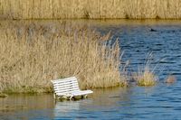 Hochwasser an der Trave. Eine bei Alt-Lübeck befindliche Sitzbank lädt zurzeit nicht zum Verweilen ein. 11.01.2025