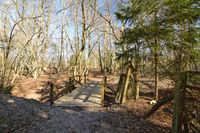 Brücke über den Landgraben beim Lübecker Sport- und Naturistenverein im Wesloer Forst Lübeck (18.03.2018)