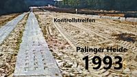 Kolonnenweg in der Palinger Heide. Aufnahme aus dem Jahr 1993