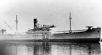 FELIX HENRI, das spätere schnelle Geleitboot SG 10 von der 3. Geleitflottille