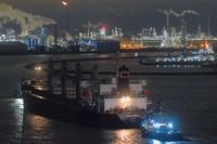 Bulk Carrier PALAWAN (IMO 9379650) am 09.02.2022 im Hafen von Rotterdam