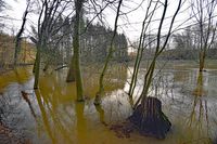 Die Schwartau bei Groß Parin. 23.02.2022. Der Fluss führt Hochwasser