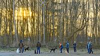 Hunde-Ausbildung bei Sonnenuntergang - Riesebusch 23.02.2022