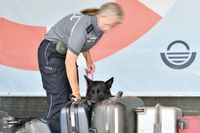 Zollhund bei einer Übung betreffend Suche nach Rauschgift. Tag der Küstenwache in Neustadt / Holstein 15.07.2023