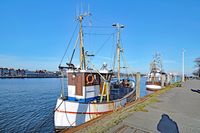 Ehemalige Fischereifahrzeuge am 24.02.2019 in Lübeck-Travemünde