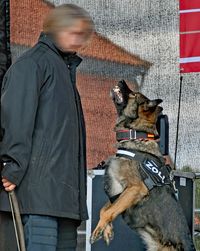 Zollhund beim Stellen und Verbellen - Tag der Küstenwache in Neustadt / Holstein 16.07.2022