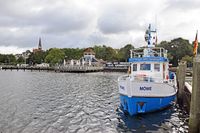 MÖWE am 07.09.2017 in Flensburg