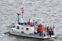 SAGITTA, ein ehemaliges Forschungsschiff der Universität Kiel, am 21.08.2020 in der Kieler Förde. Es gehört nun der privat geführten Meeresbiologischen Station Laboe